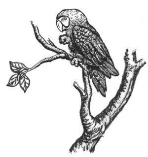 32. Manuk-manuk (Atkinson)_0.jpg