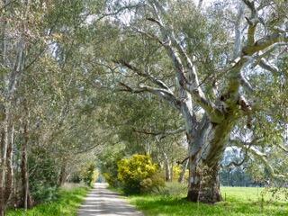path path