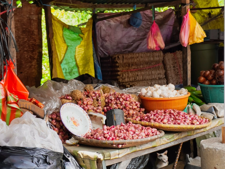 Lessuna assele' bara'bah jio Tana Duri