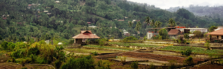 One of the settlemens in Tana Duri